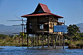 Inle Lake Myanmar. All the buildings are constructed on piles. Residents travel around by canoe, but there are also bamboo walkways and bridges over the canals, monasteries and stupas. 